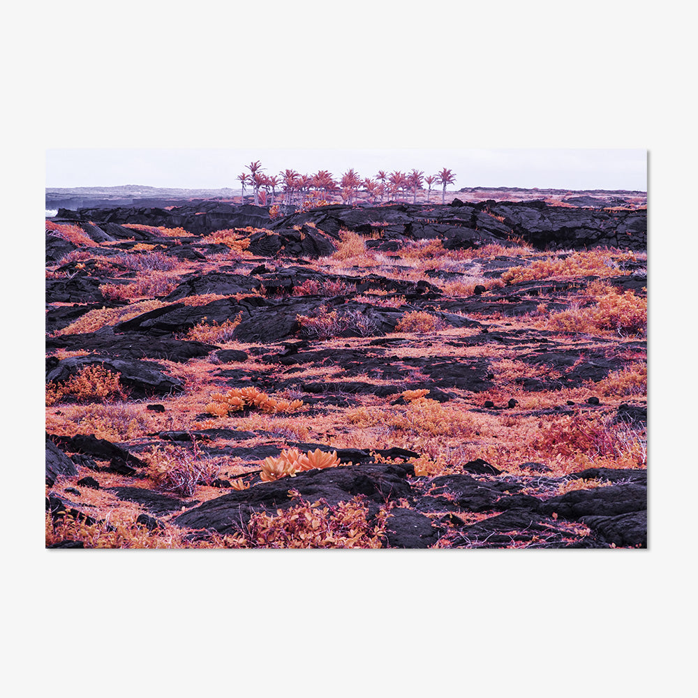 Photograph by Brian Merriam