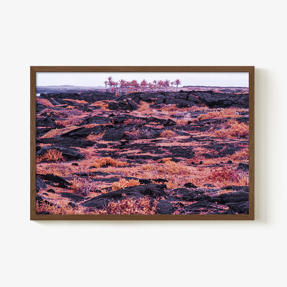 Photograph by Brian Merriam