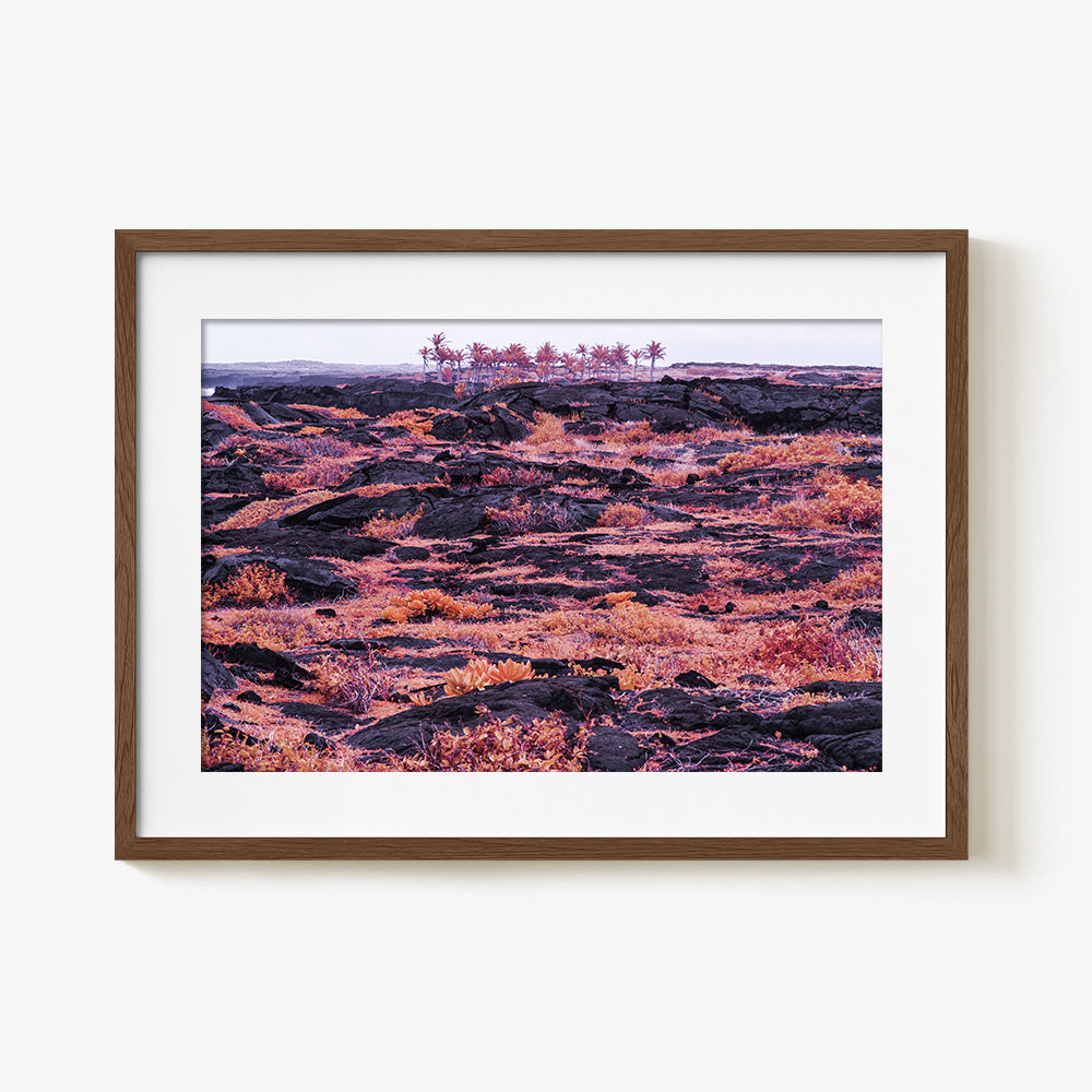 Photograph by Brian Merriam