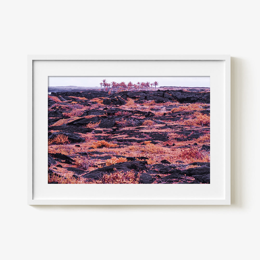 Photograph by Brian Merriam