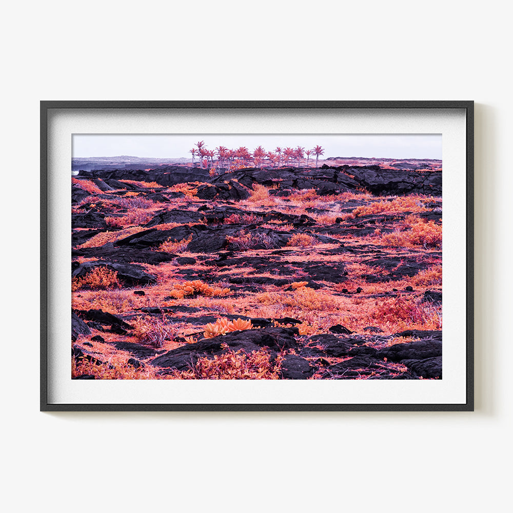 Photograph by Brian Merriam