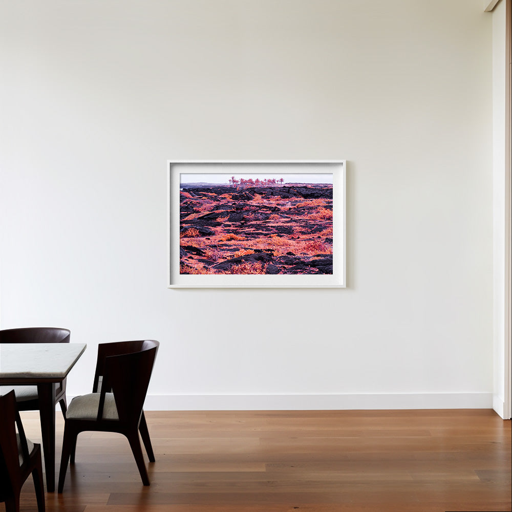 Photograph by Brian Merriam