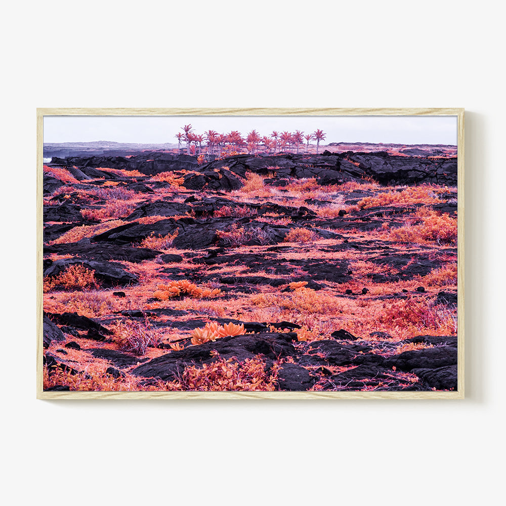 Photograph by Brian Merriam