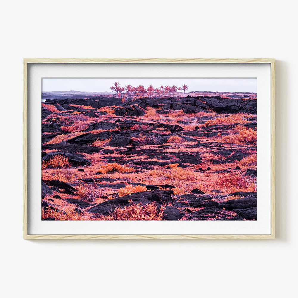 Photograph by Brian Merriam