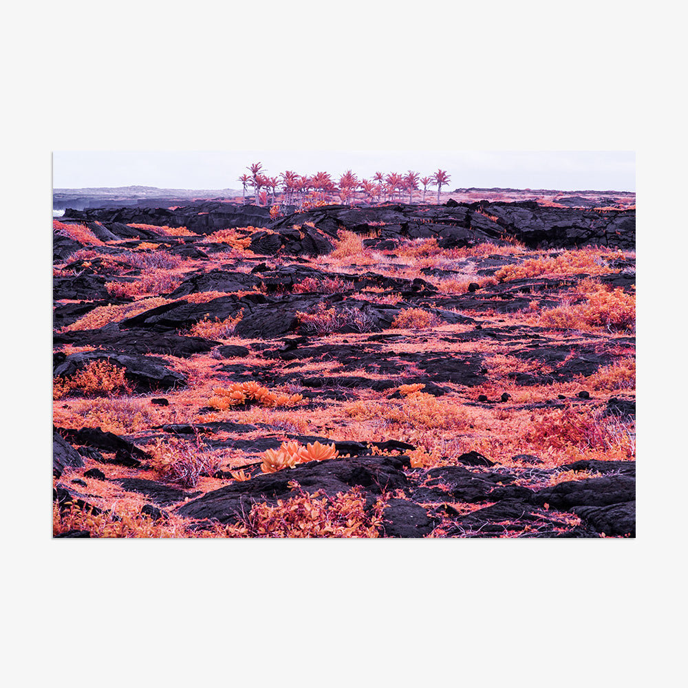 Photograph by Brian Merriam