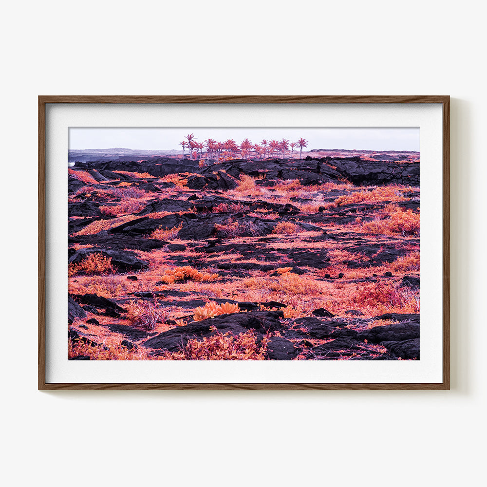 Photograph by Brian Merriam