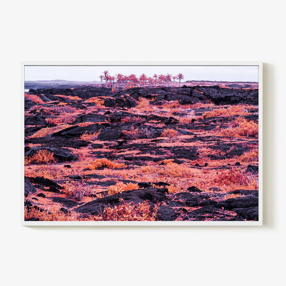 Photograph by Brian Merriam