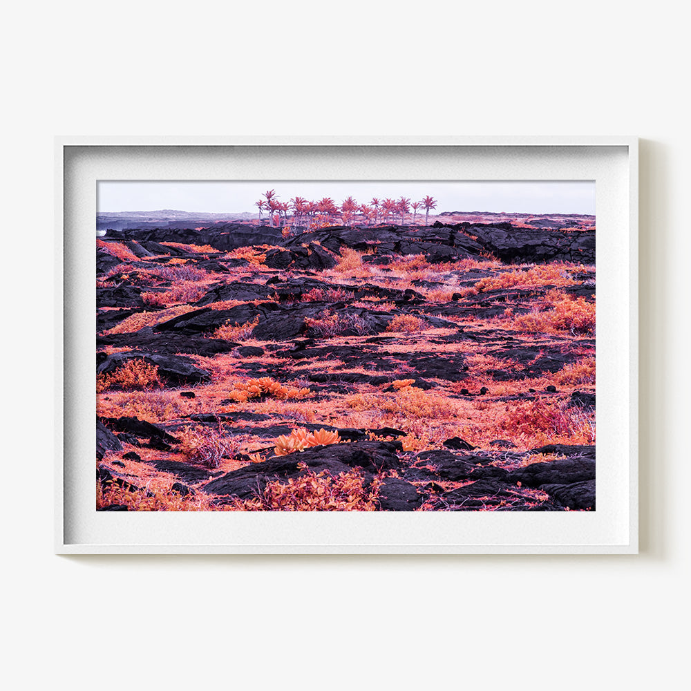 Photograph by Brian Merriam