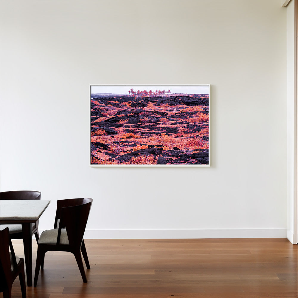 Photograph by Brian Merriam