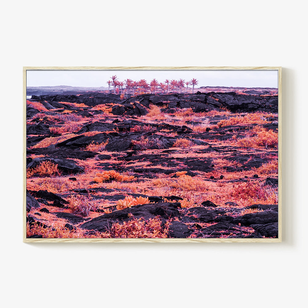 Photograph by Brian Merriam