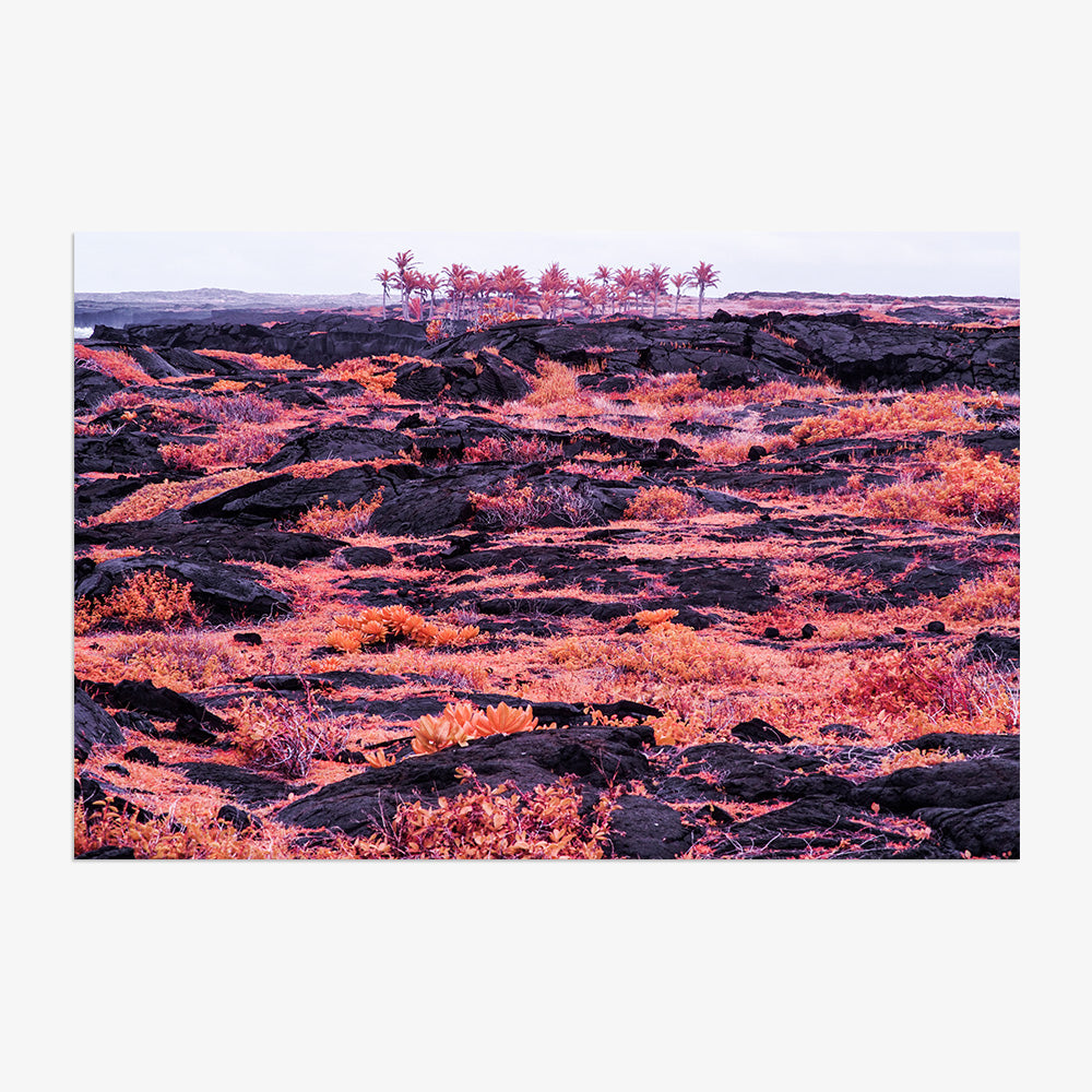 Photograph by Brian Merriam