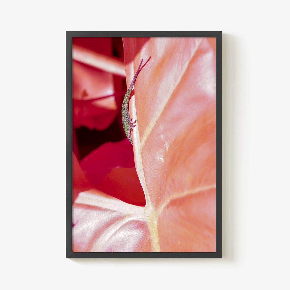 Photograph by Brian Merriam