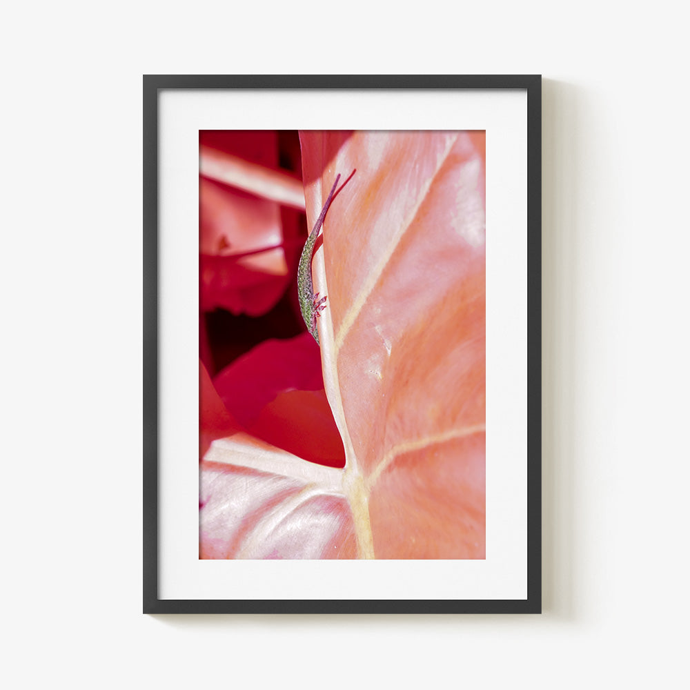 Photograph by Brian Merriam