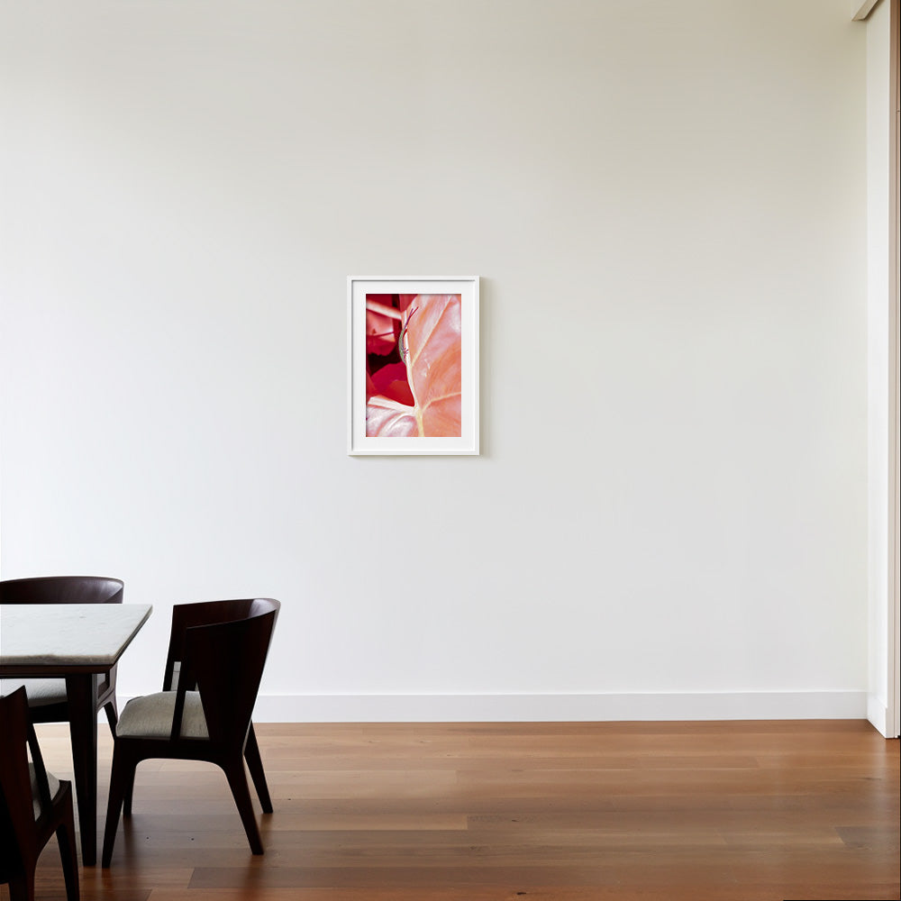 Photograph by Brian Merriam