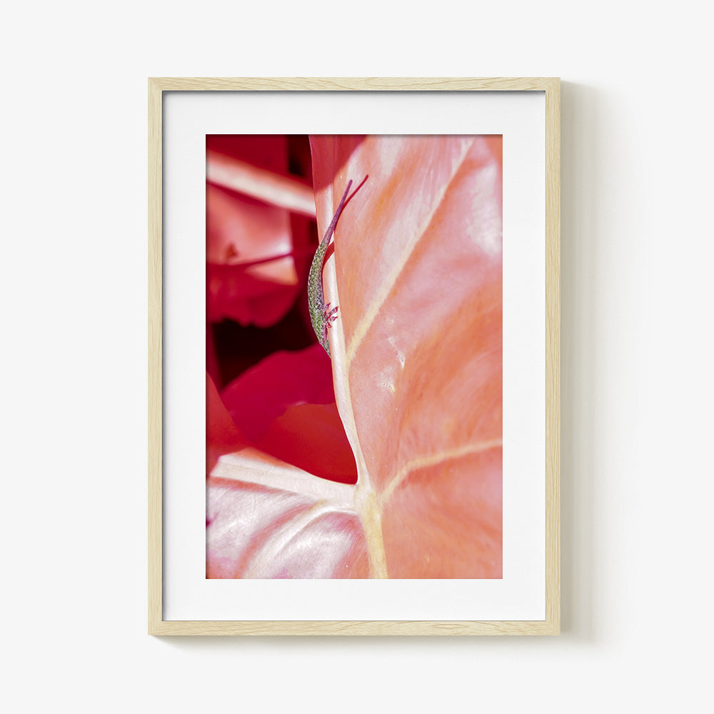 Photograph by Brian Merriam