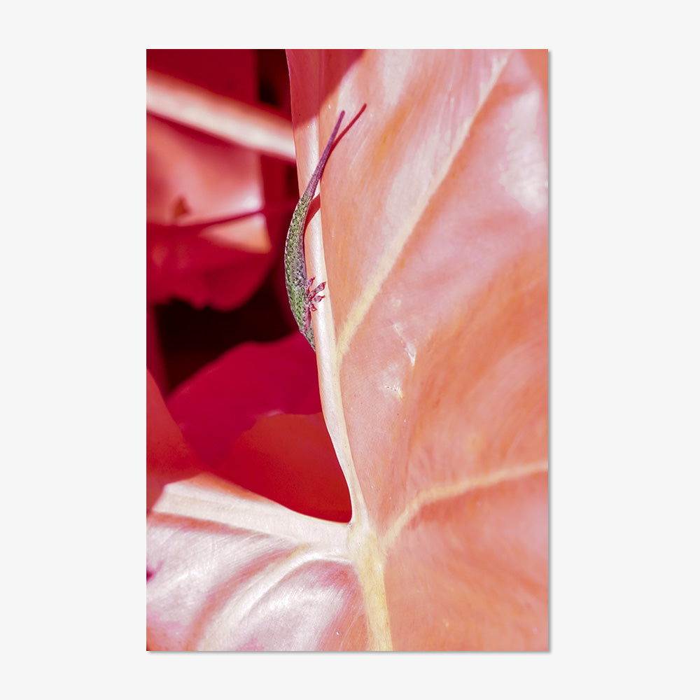 Photograph by Brian Merriam