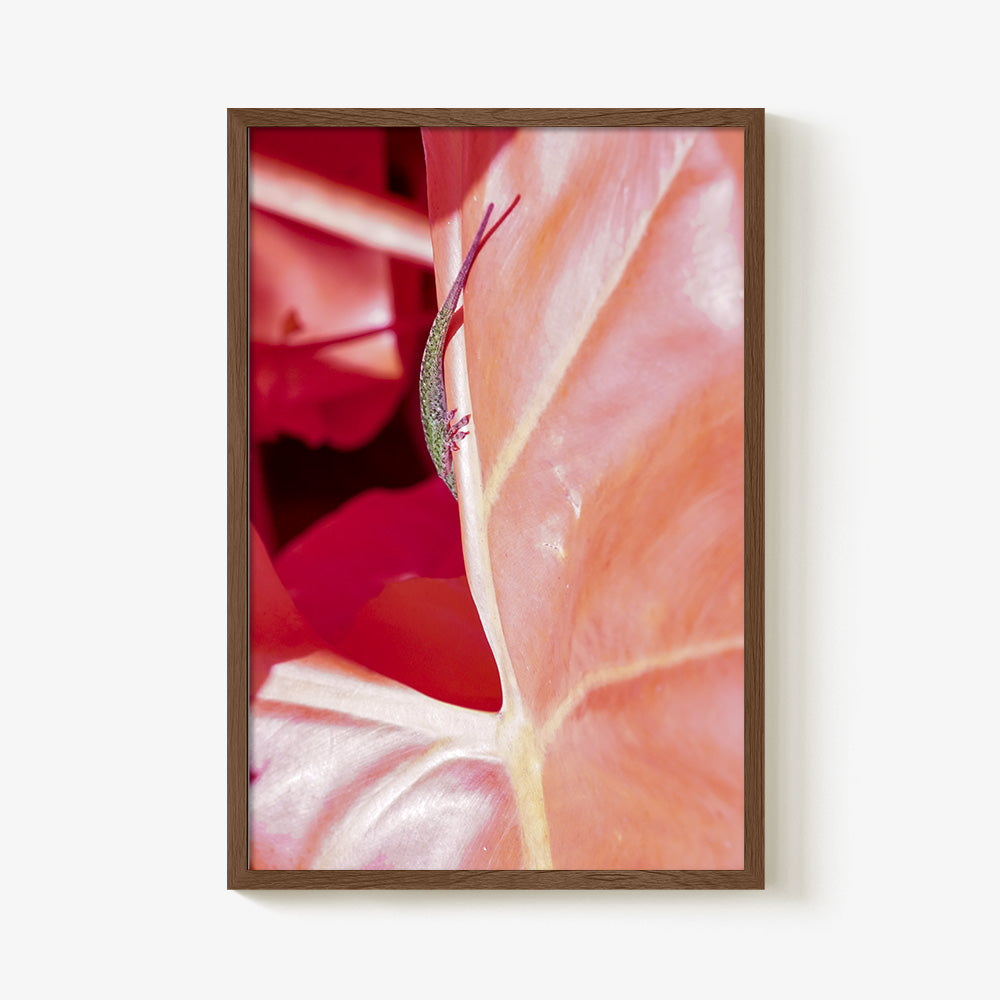 Photograph by Brian Merriam