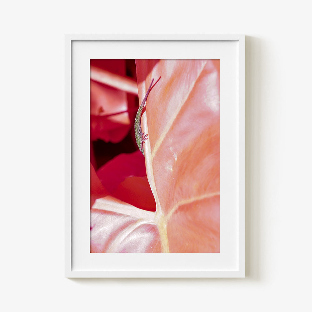 Photograph by Brian Merriam