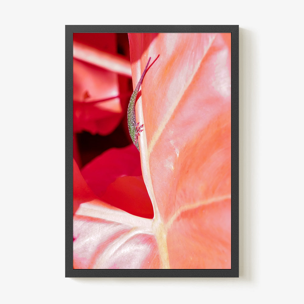 Photograph by Brian Merriam