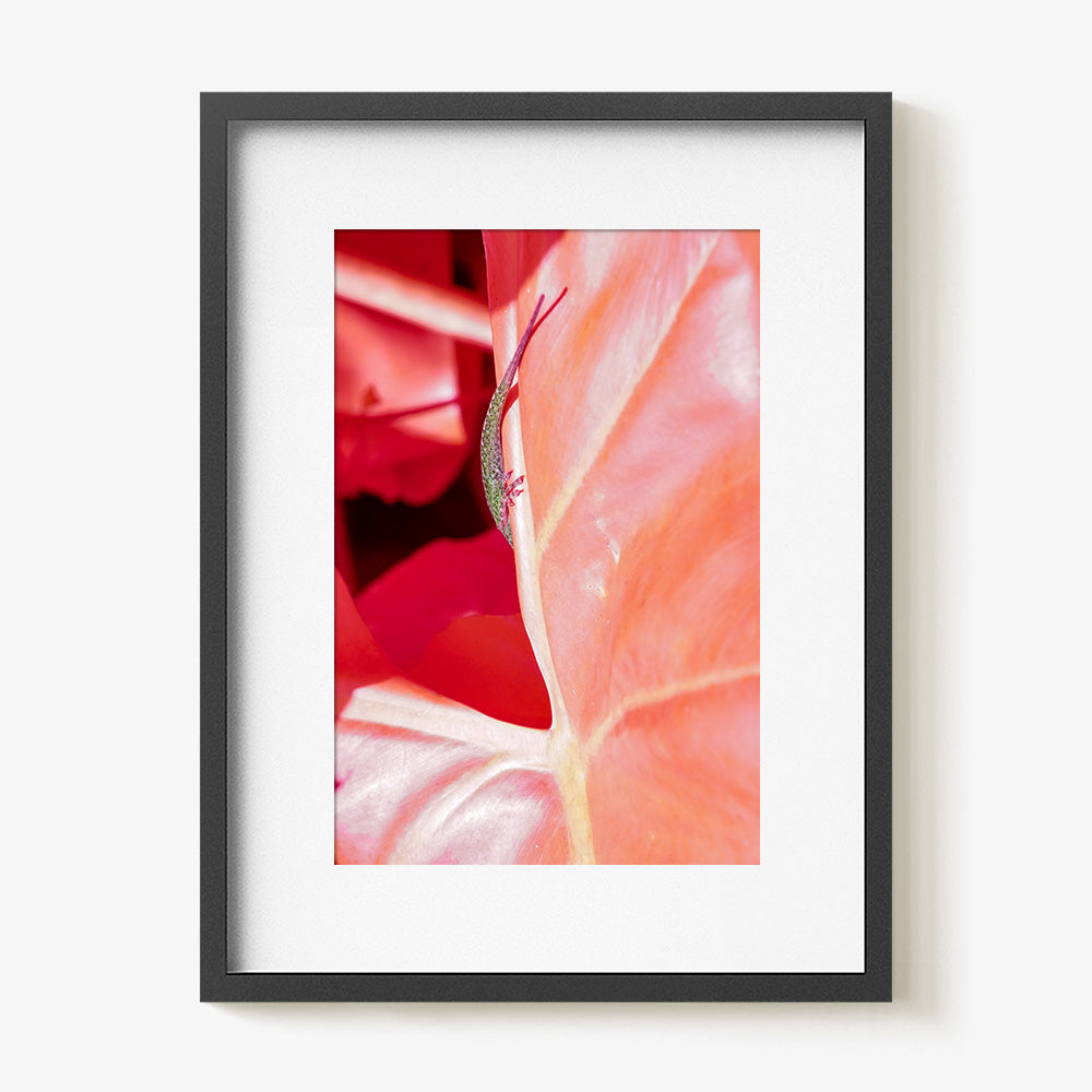 Photograph by Brian Merriam