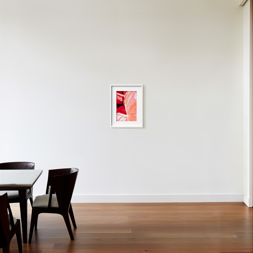 Photograph by Brian Merriam