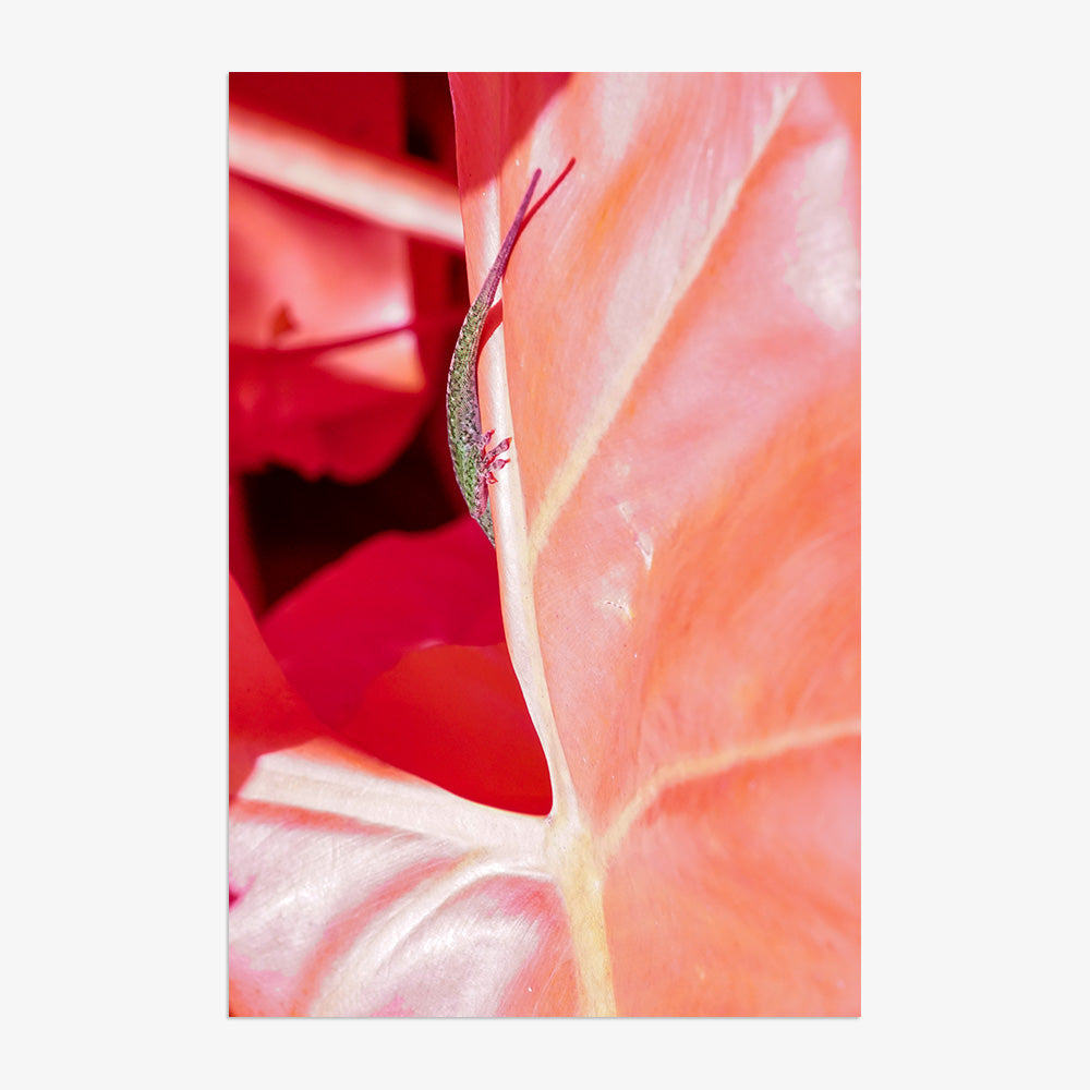 Photograph by Brian Merriam