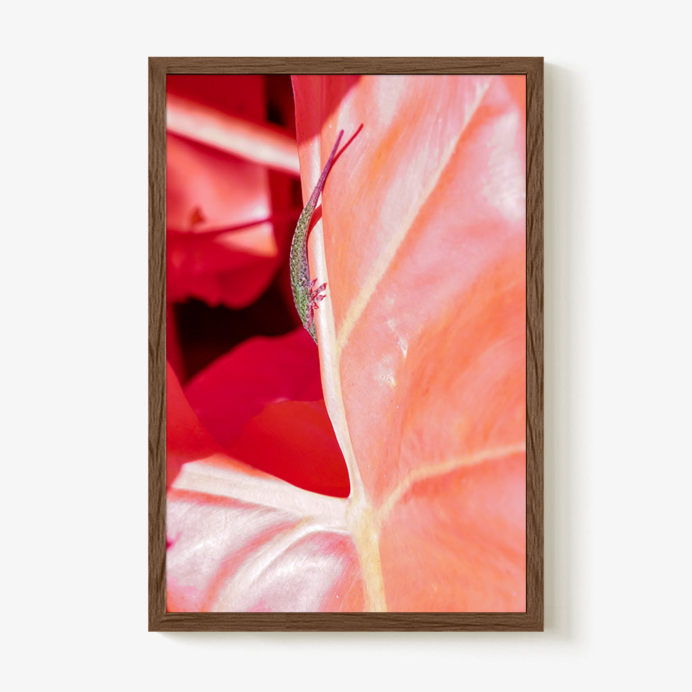 Photograph by Brian Merriam