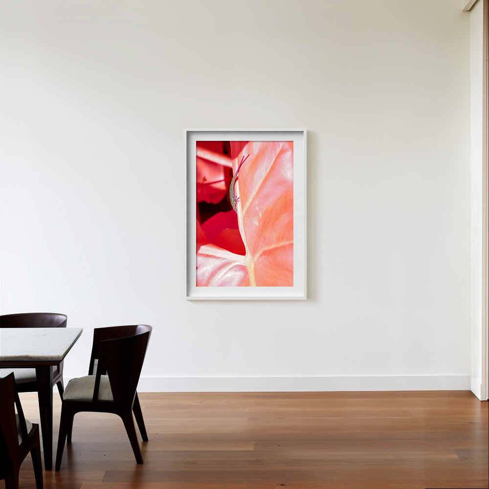 Photograph by Brian Merriam