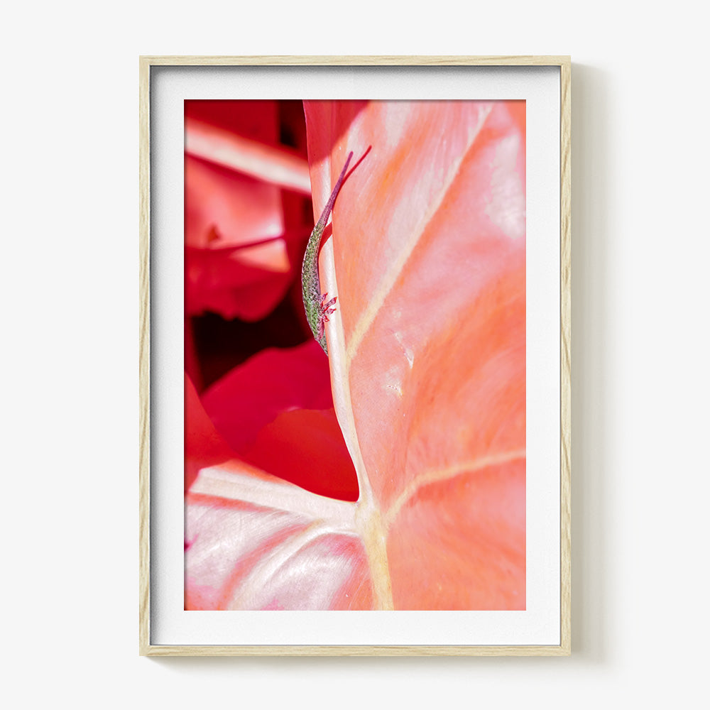 Photograph by Brian Merriam