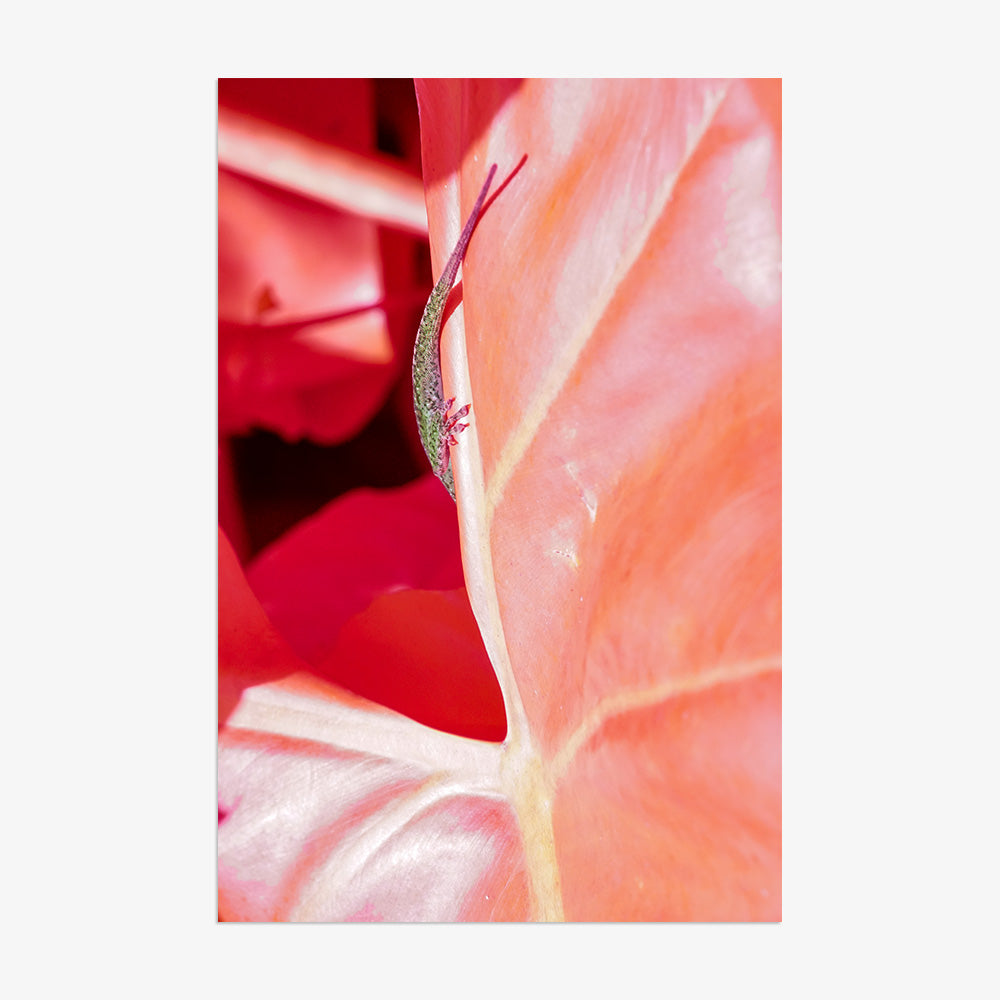 Photograph by Brian Merriam