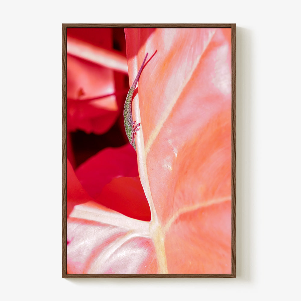 Photograph by Brian Merriam