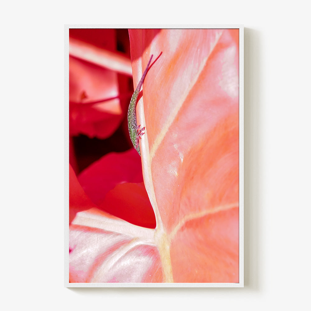 Photograph by Brian Merriam