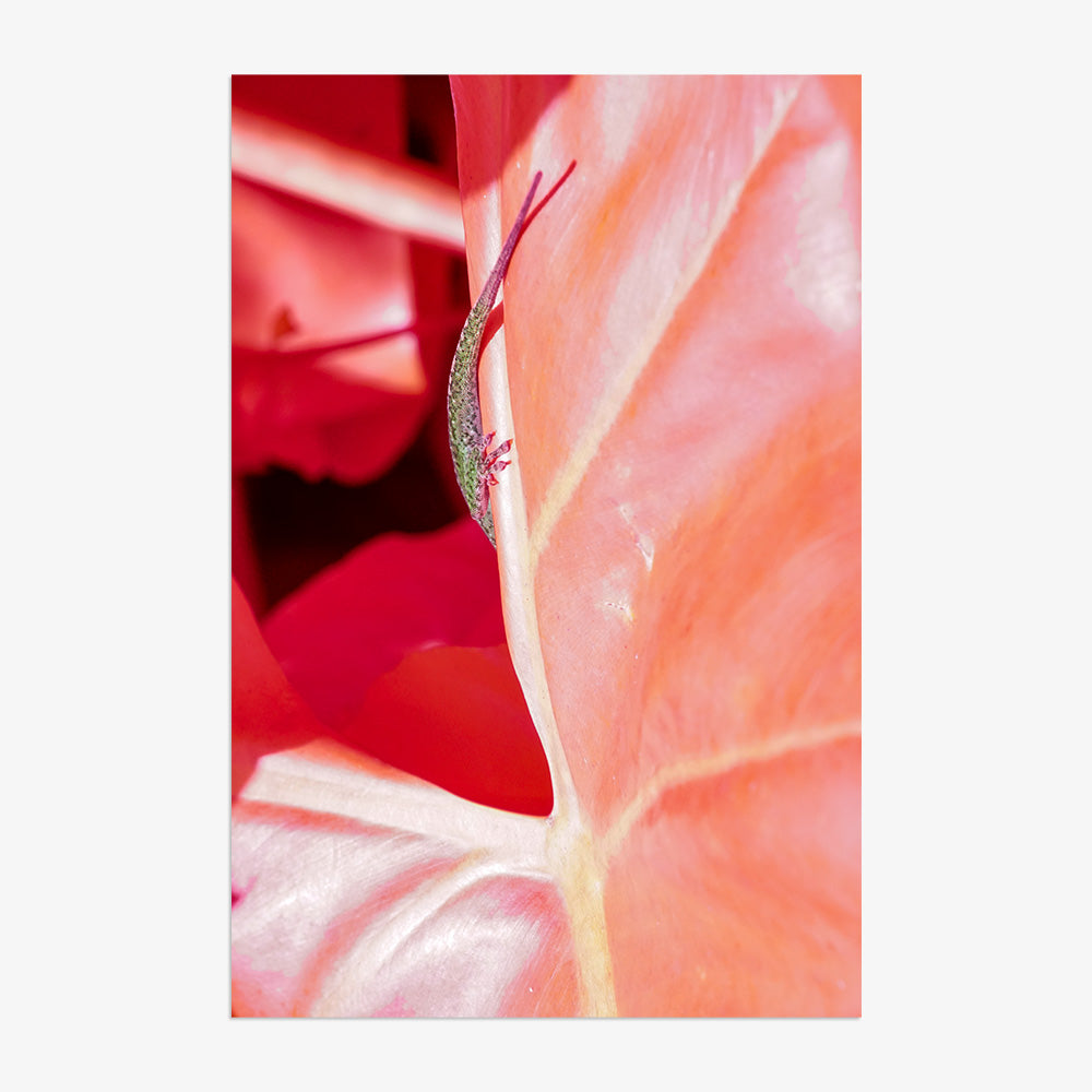 Photograph by Brian Merriam