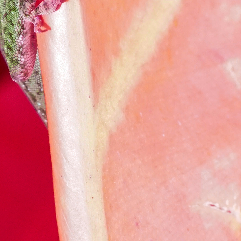 Photograph by Brian Merriam