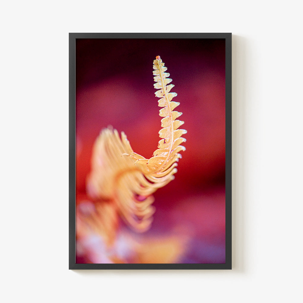 Photograph by Brian Merriam