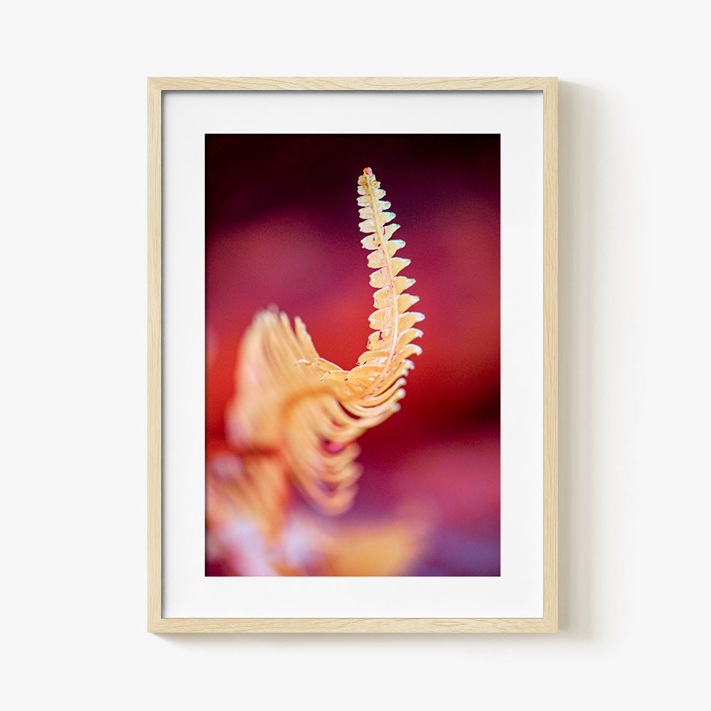 Photograph by Brian Merriam