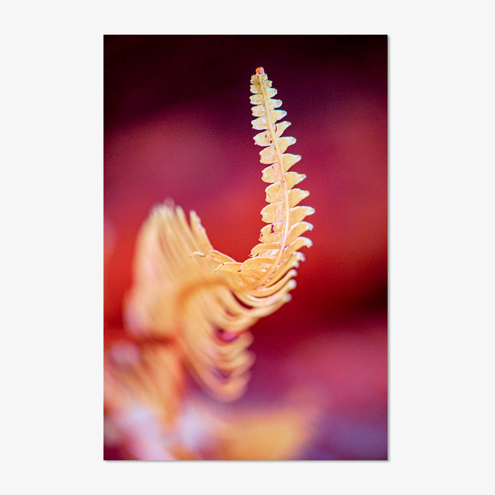 Photograph by Brian Merriam