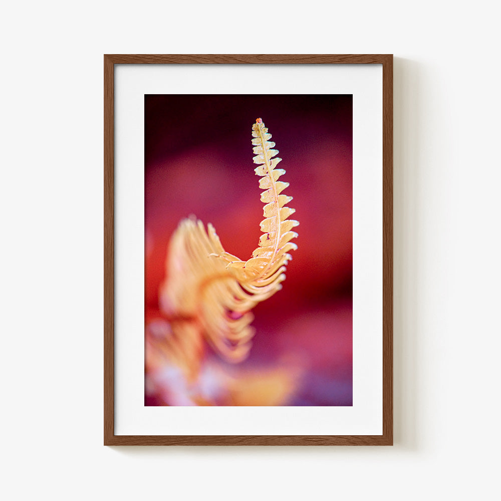 Photograph by Brian Merriam