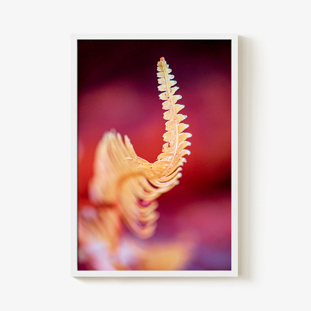 Photograph by Brian Merriam