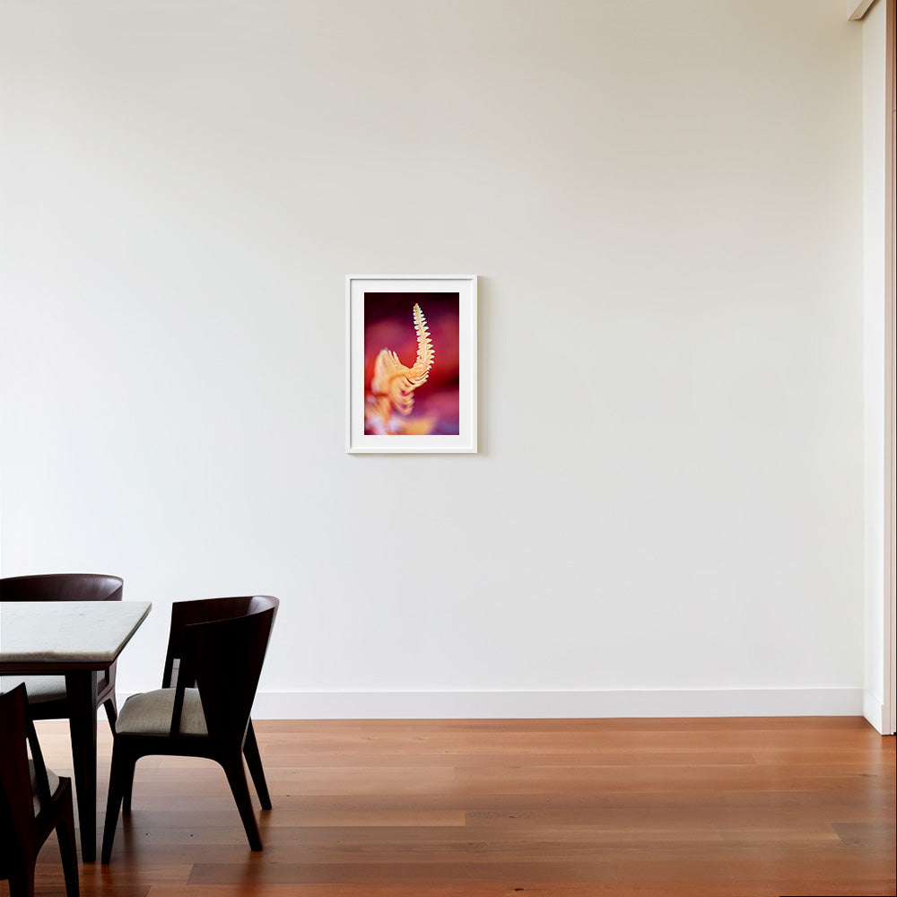 Photograph by Brian Merriam