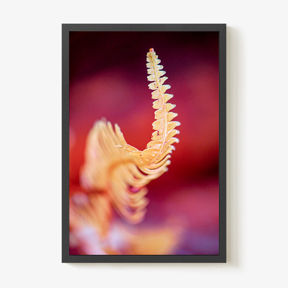 Photograph by Brian Merriam