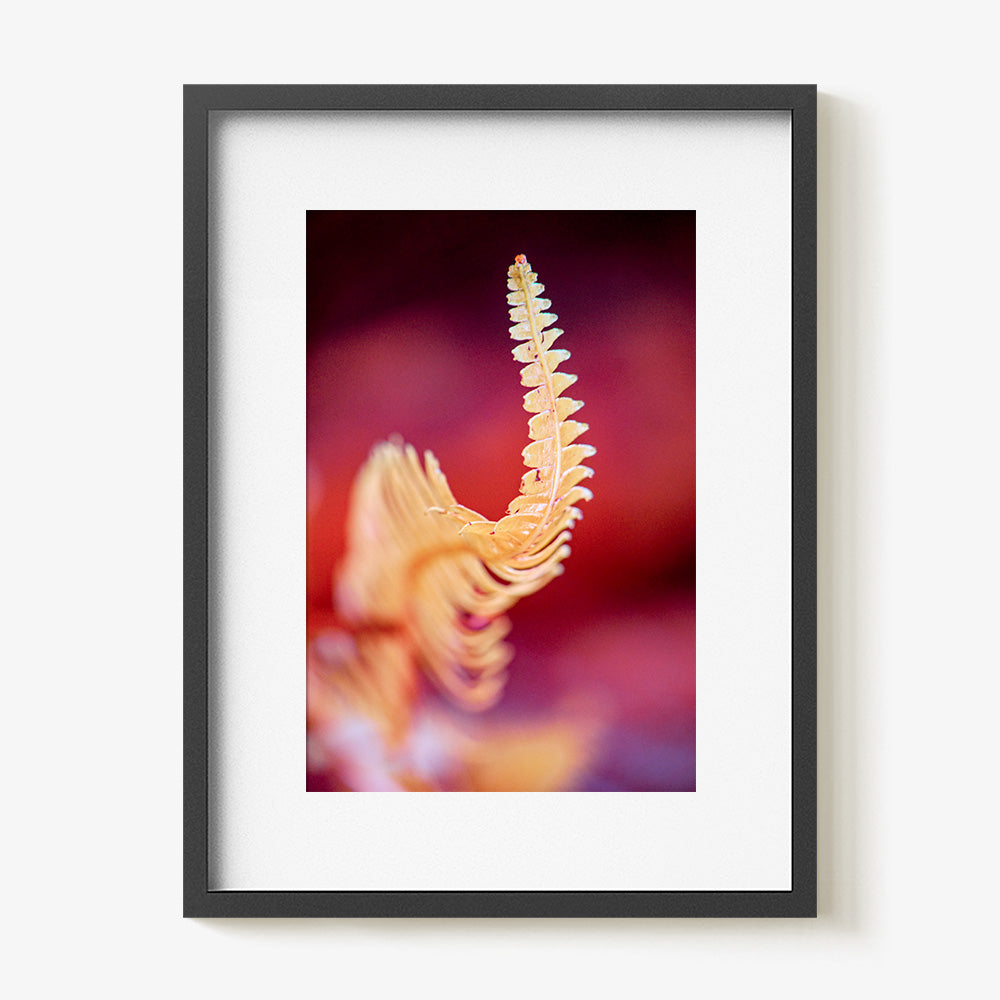 Photograph by Brian Merriam