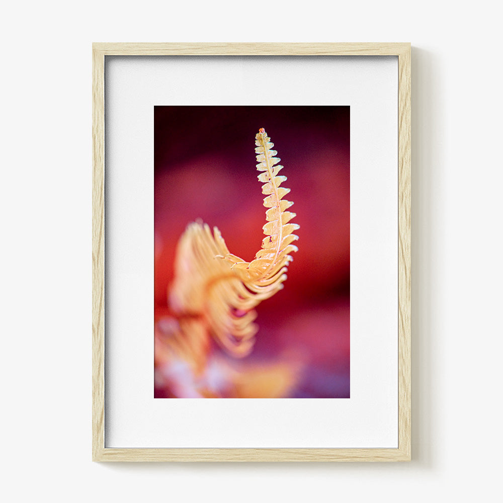 Photograph by Brian Merriam