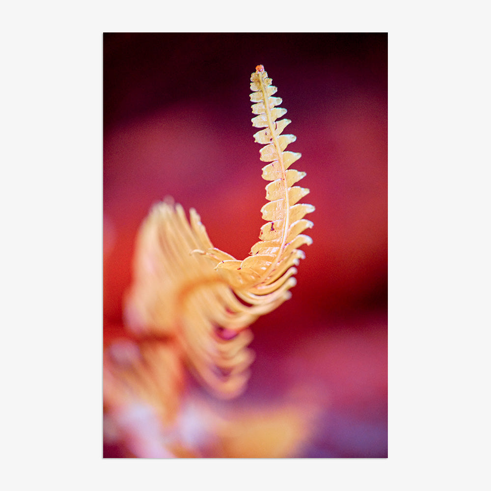 Photograph by Brian Merriam