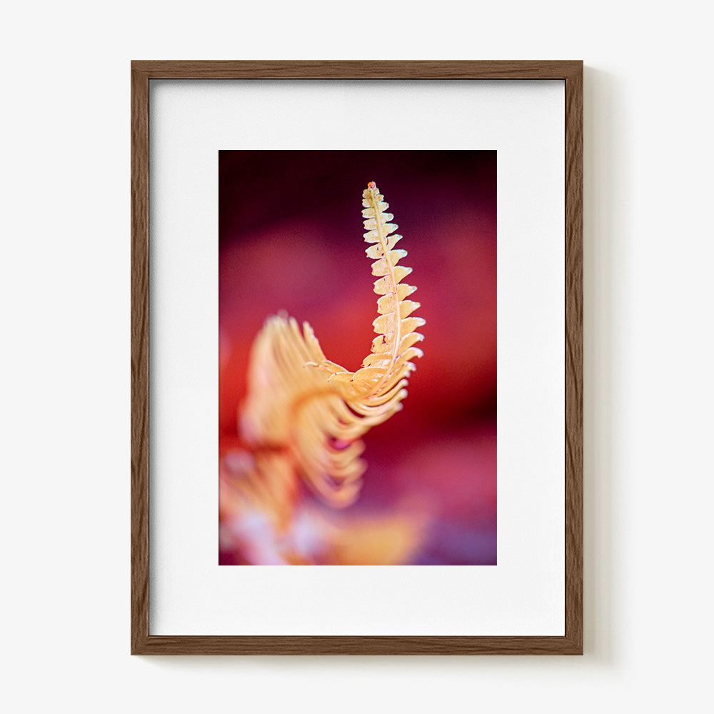 Photograph by Brian Merriam