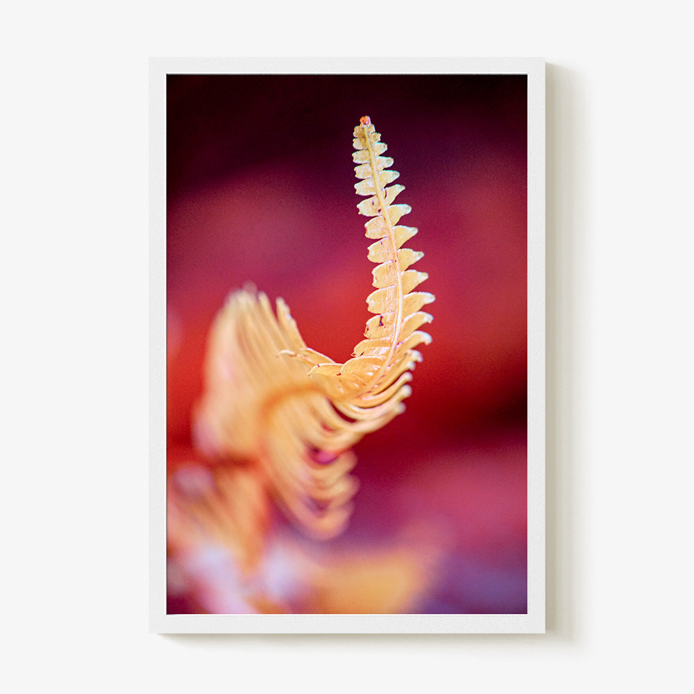 Photograph by Brian Merriam