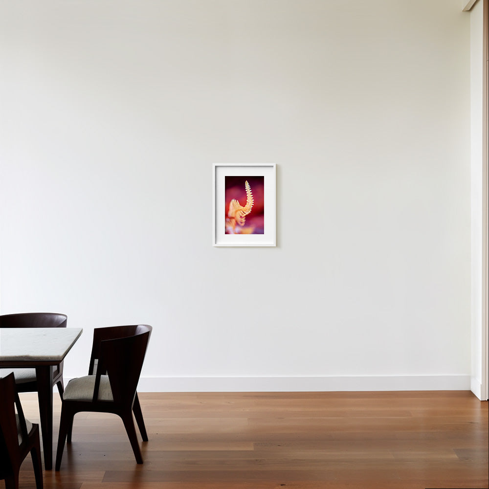 Photograph by Brian Merriam