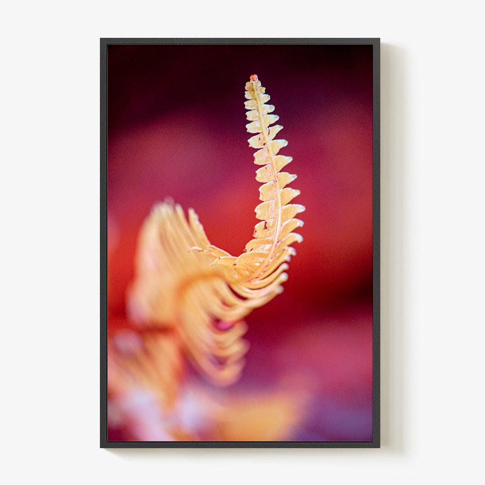 Photograph by Brian Merriam