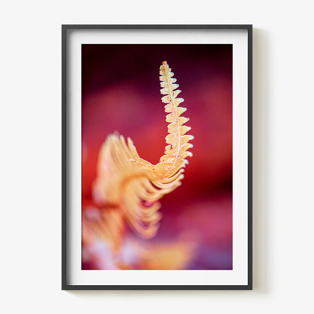 Photograph by Brian Merriam