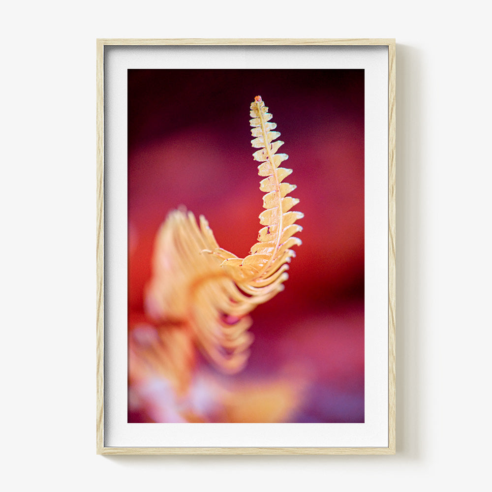 Photograph by Brian Merriam